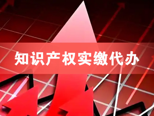 定州知识产权实缴资本代办